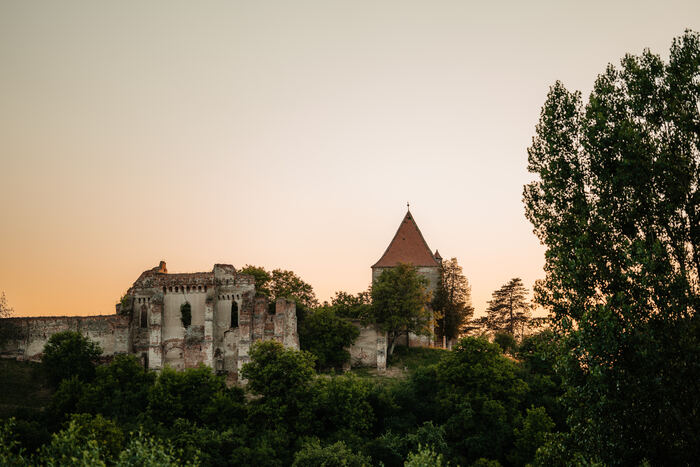 Cetatea Slimnic
